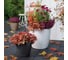 Кашпо Lechuza Color Classico Complete D35xH32 см, серое 13224 5