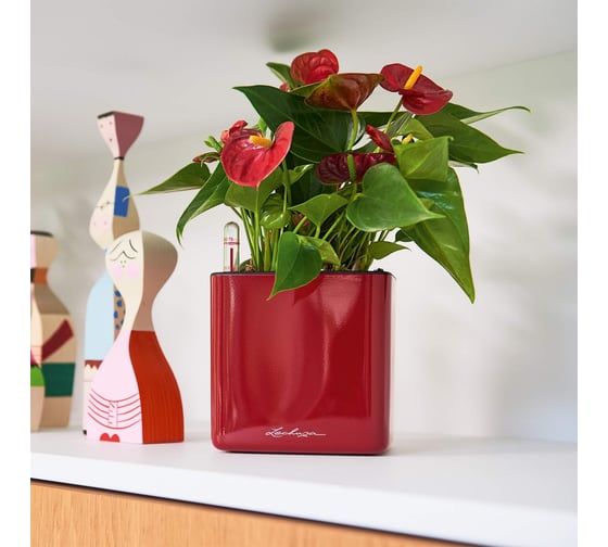 Кашпо Lechuza Cube Glossy Complete 14x14xH14 см, ярко-красный блестящий 13512