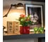 Кашпо Lechuza Cube Glossy Complete 14x14xH14 см, ярко-красный блестящий 13512 6