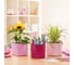 Кашпо Lechuza Cube Glossy Complete 14х14хН14 см, кремовый блестящий 13515 6
