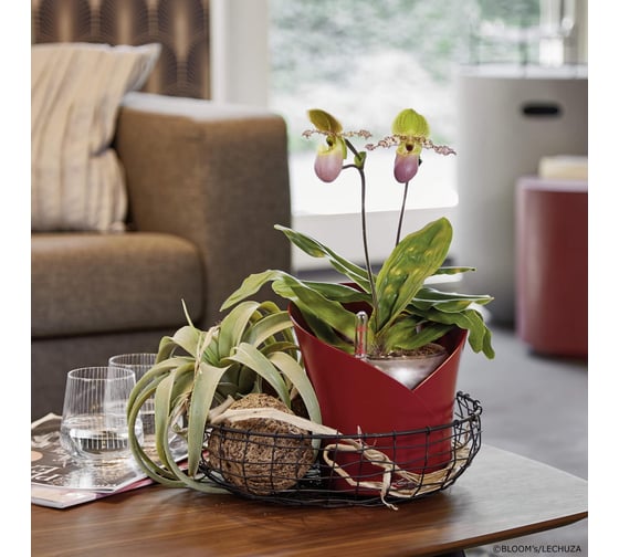 Кашпо LECHUZA Orchidea Complete 18х18х19.5 см, ярко-красный матовый 13962
