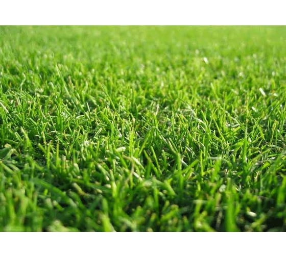 Газон АгроВелес УНИВЕРСАЛЬНЫЙ RichGreenSward Universal GRASS 15 кг AV10012