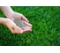 Газон АгроВелес ДАЧНЫЙ ПРЕМИУМ RichGreenSward Universal PREMIUM VILLAGE 15 кг AV10018 3