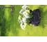 Горшок для растений Roto Planter Bag 6000 7