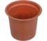 Комплект Inbloom горшки 6х5см 20 шт. + поддон 29х24х5 см РS 105-020 4