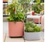 Кашпо LECHUZA PILA PLANTER Color бирюзовое 15902 7