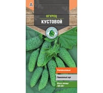 Семена Тимирязевский питомник огурец Кустовой 0.3 г 4607189275685