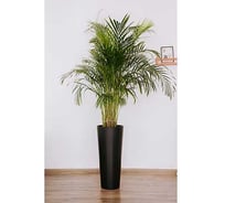 Кашпо для цветов BERG MOLD АТТИКА 28л, с вкладышем графит, d30см, h58см 071486