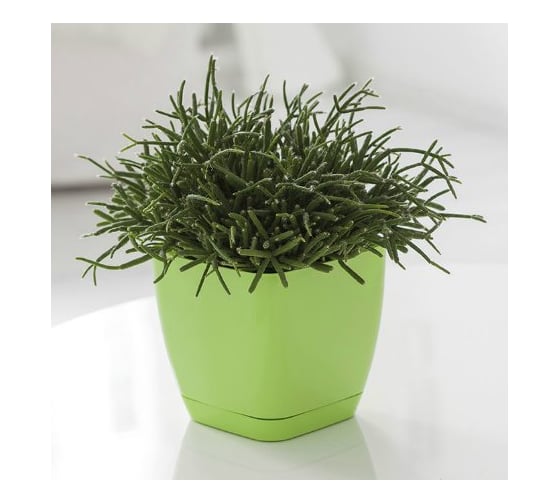 Кашпо с поддоном FormPlastic Toscana 0732-007 2.5 л, салатовое 028821