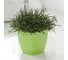 Кашпо с поддоном FormPlastic Toscana 0731-007 1.7 л, салатовое 028368 2