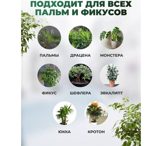 Грунт Сила Суздаля Пальмы и фикусы 5 л 4680004060499