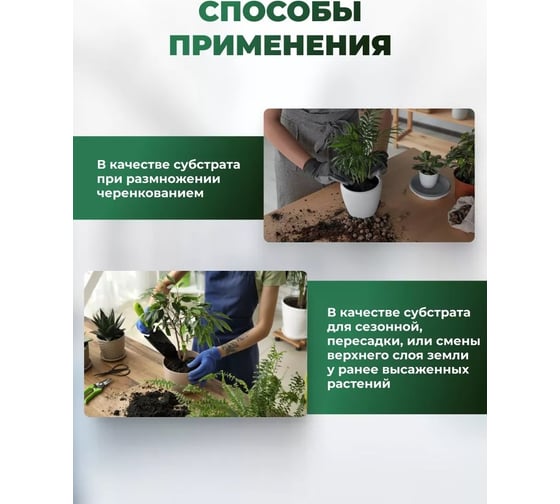 Грунт Сила Суздаля Пальмы и фикусы 5 л 4680004060499