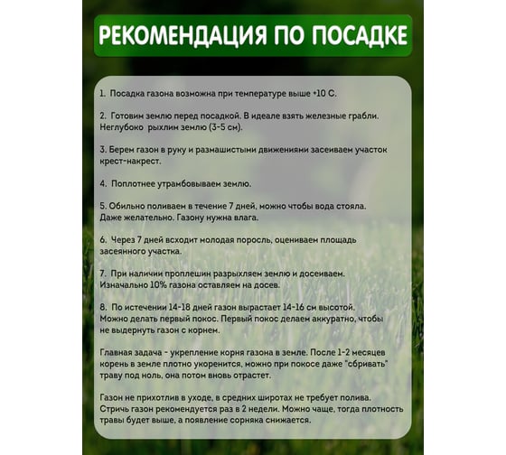 Семена газонной травы Сила Суздаля Премиум 500 г 4680004061069
