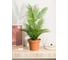Горшок для цветов Idiland Mint D240 мм, 5 л, с поддоном, терракотовый 221612132/01 6