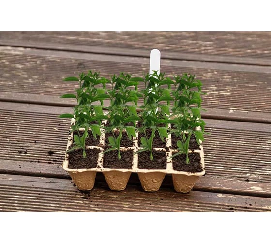 Малые торфяные сажалки VERTO отверстия 3x4, 16x12x4.5 см, 5 шт 15G465