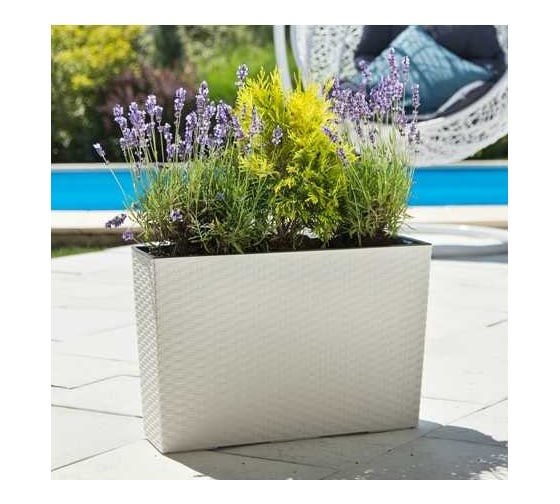 Цветник с вкладышем LAMELA Sp.z o. 629 WERBENA rattan 19х56х36.5 см, белый 039163