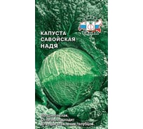 Семена СеДек Капуста Надя 00000014683