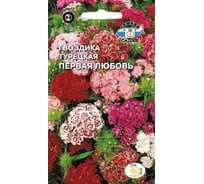 Семена СеДек Гвоздика Первая любовь 00000015946