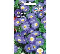 Семена СеДек Нолана Бриз 00000014559