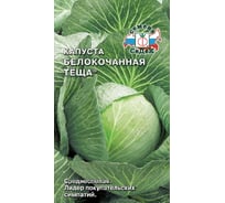 Семена СеДек Капуста Тёща 00000014009