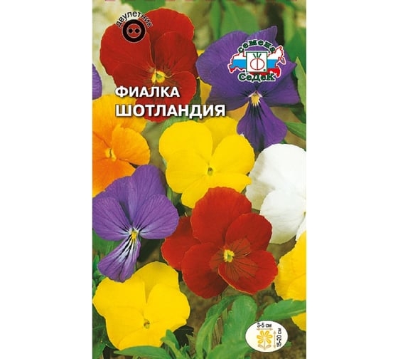 Семена СеДек Фиалка Шотландия 00000016564