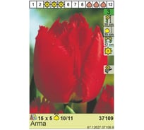 Луковица HBM Тюльпан Арма 10/11 красный, 5 шт. 37109