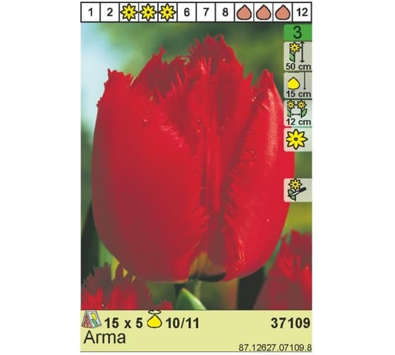 Луковица HBM Тюльпан Арма 10/11 красный, 5 шт. 37109