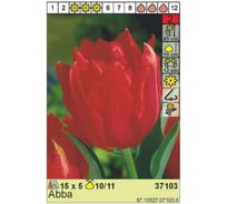 Луковица HBM Тюльпан Абба 10/11 красный, 5 шт. 37103