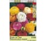 Корневище HBM Ранункулюс Микс 5/6 8 шт. 37200 1