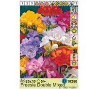Луковица HBM Фрезия Дабл Микс 5/6 8 шт. 37324