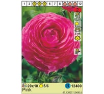 Корневище HBM Ранункулюс розовый 5/6, 10 шт. 12400