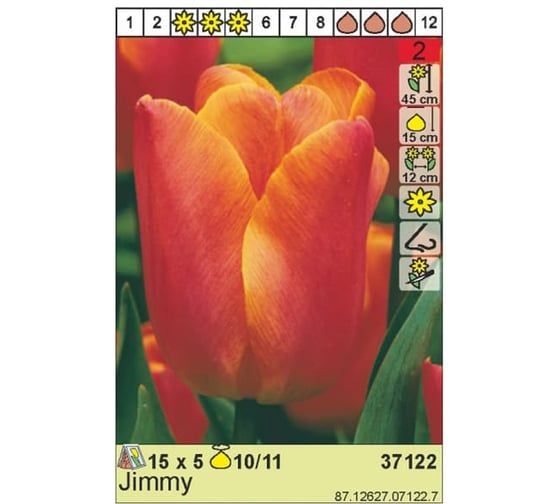 Луковица HBM Тюльпан Джимми 10/11 алый, 5 шт. 37122