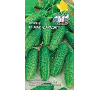 Семена СеДек Огурец Мал-да-удал 00000015244