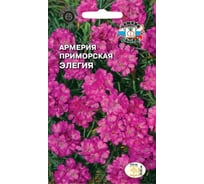 Семена СеДек Армерия Элегия 00000015762