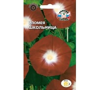 Семена СеДек Ипомея Школьница 00000015766