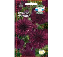Семена СеДек Василек Чародей 00000014094