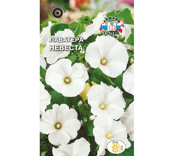 Семена СеДек Лаватера Невеста 00000016587