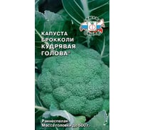 Семена СеДек капуста Кудрявая Голова 00000015927