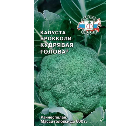 Семена СеДек капуста Кудрявая Голова 00000015927 1