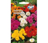 Семена СеДек Георгина Амадеус 00000017140