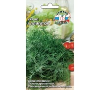 Семена СеДек укроп Аллигатор 00000012700