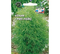 Семена СеДек Кохия Грин лейс 00000014114