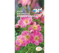 Семена СеДек Роза Крылья ангела 00000030970