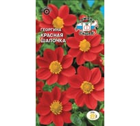 Семена СеДек Георгина Красная шапочка 00000017138