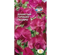 Семена СеДек Душистый горошек Пезаро 00000014979