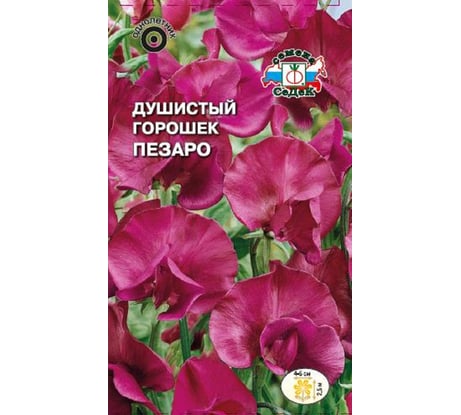 Семена СеДек Душистый горошек Пезаро 00000014979
