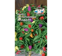 Семена СеДек перец Аладдин 00000014131