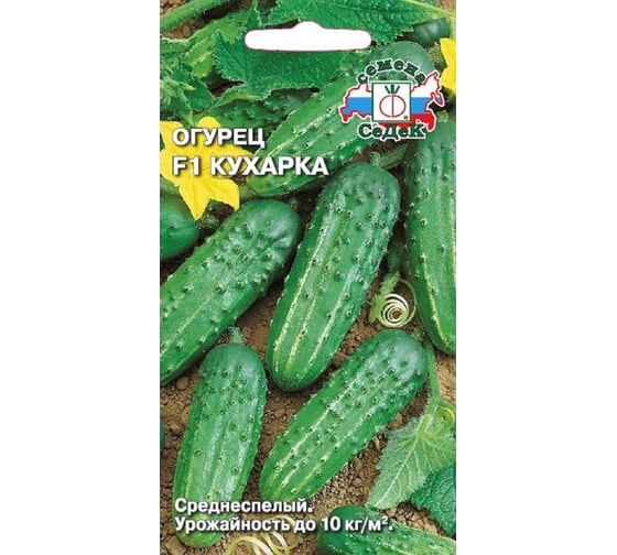 Семена СеДек Огурец Кухарка 00000015679 1