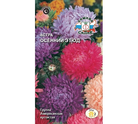 Семена СеДек Астра Осенний этюд 00000015553