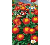 Семена СеДек Гелихризум Скарлет 00000014688